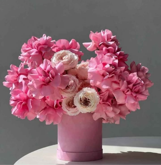 Pink In Box